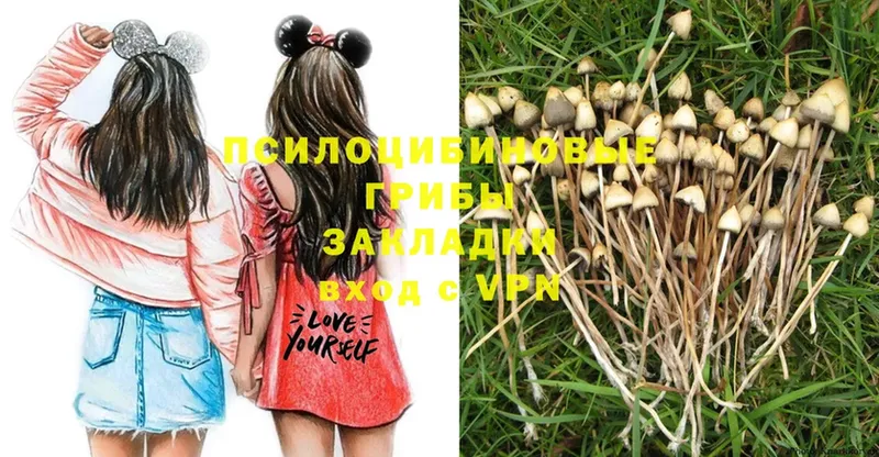 Галлюциногенные грибы MAGIC MUSHROOMS  купить  сайты  Джанкой 